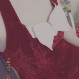 Vintage Velvet Dress